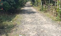 Desa Ciamis Sungkai Utara Bupati Diminta Bantuan Bangunan, dan APH Mohon Periksa Semua Bangunan yang Gunakan Anggaran Dana Desa, Masyarakat Yakin Tidak Sesuai RAB