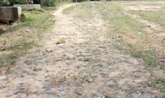 APH Lampura Diminta Periksa Bangunan yang Bersumber DD di Desa Baturaja Sungkai Utara, Masyarakat Mohon Pemerintah Daerah Agar Dapat Membantu Bangun Jalan yang Rusak