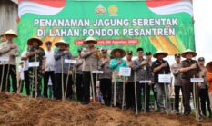 Polres Lampung Barat Laksanakan Penanaman Jagung Serentak di Ponpes Dharut Tholibin Simpang Serdang
