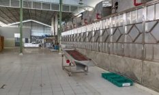 Kasus Pabrik Tepung Ikan di Kobar Disorot, Penanganan Dinilai Janggal