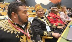 UN Indigenous Forum Opens With Pressure for Real-World Results