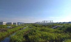 Proyek Transmigrasi Kementerian di Sungai Baru Sukamara Gagal, Publik Minta Audit Menyeluruh