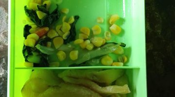 MBG Diduga “Asal Jalan” di Lampung Timur: Menu Minim, Pengawasan Dipertanyakan