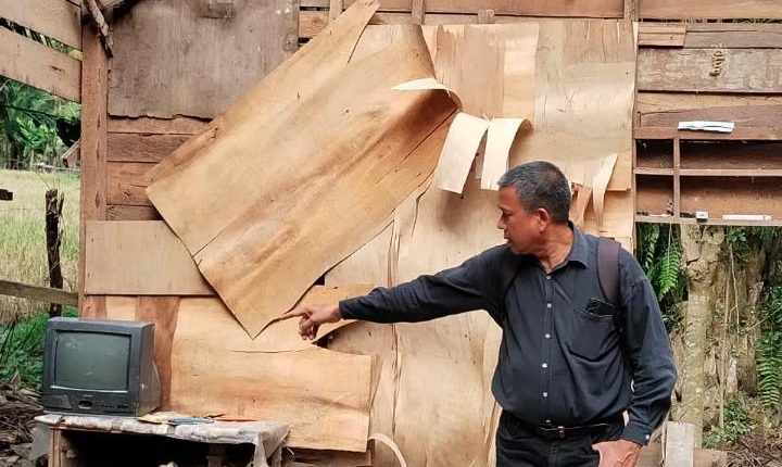 foto slider headline